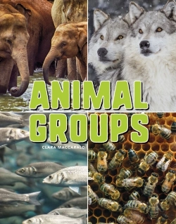 Bertrand.pt - Animal Groups
