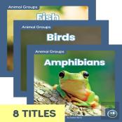 Animal Groups (Set Of 8)