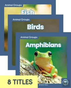 Bertrand.pt - Animal Groups (Set Of 8)