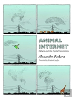 Bertrand.pt - Animal Internet