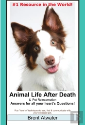 Animal Life After Death & Animal Reincarnation- Everything You Always Wanted To Know! After-Death Do Animals Go To Heaven?