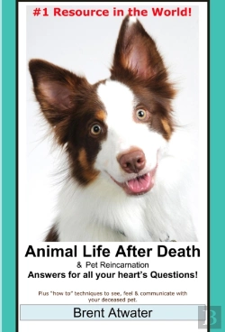Bertrand.pt - Animal Life After Death & Animal Reincarnation- Everything You Always Wanted To Know! After-Death Do Animals Go To Heaven?
