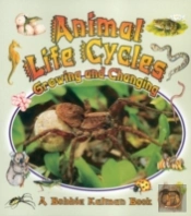 Animal Life Cycles