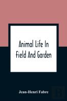 Animal Life In Field And Garden