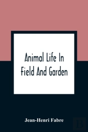 Animal Life In Field And Garden