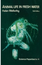 Animal Life In Fresh Water