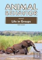 Animal Life In Groups