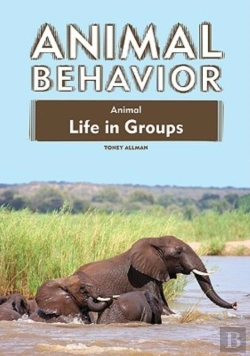 Bertrand.pt - Animal Life In Groups