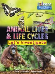 Animal Lives And Life Cycles