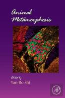 Animal Metamorphosis