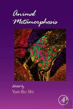 Bertrand.pt - Animal Metamorphosis