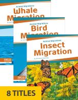 Animal Migrations (Set Of 8)