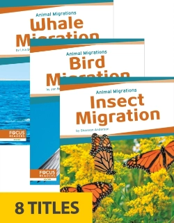 Bertrand.pt - Animal Migrations (Set Of 8)