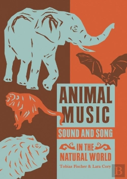 Bertrand.pt - Animal Music