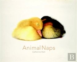 Bertrand.pt - Animal Naps