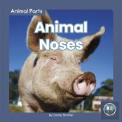 Animal Noses