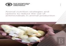Animal Nutrition Strategies And Options To Reduce The Use Of Antimicrobials In Animal Production