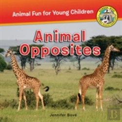 Bertrand.pt - Animal Opposites
