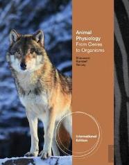 Animal Physiology