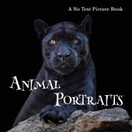 Animal Portraits, A No Text Picture Book