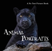 Animal Portraits, A No Text Picture Book