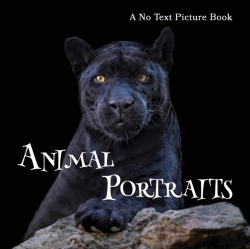 Bertrand.pt - Animal Portraits, A No Text Picture Book