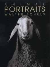 Animal Portraits