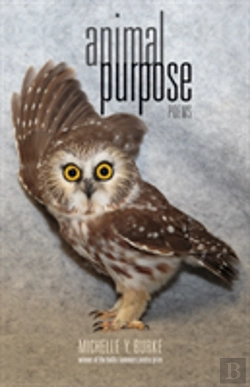 Bertrand.pt - Animal Purpose
