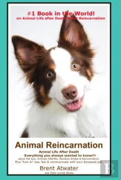 Animal Reincarnation & Animal Life After Death - Answers For Your Heart'S Questions!