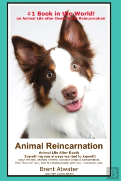 Bertrand.pt - Animal Reincarnation & Animal Life After Death - Answers For Your Heart'S Questions!