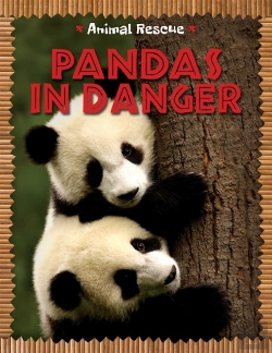 Bertrand.pt - Animal Rescue: Pandas In Danger