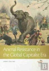 Animal Resistance In The Global Capitalist Era