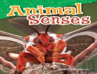 Animal Senses