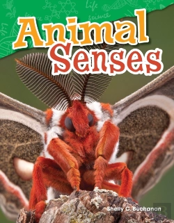 Bertrand.pt - Animal Senses
