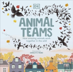 Bertrand.pt - Animal Teams