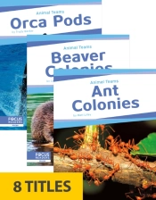 Animal Teams (Set Of 8)