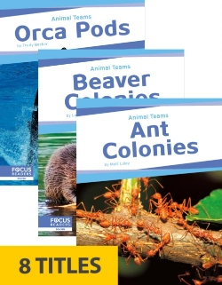 Bertrand.pt - Animal Teams (Set Of 8)