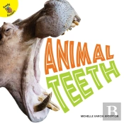 Animal Teeth