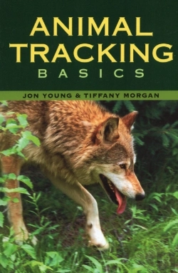 Bertrand.pt - Animal Tracking Basics
