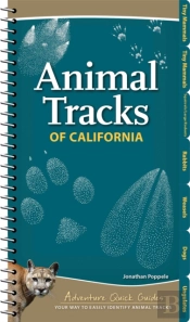 Animal Tracks Of California