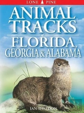 Animal Tracks Of Florida, Georgia And Alabama