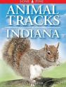 Animal Tracks Of Indiana