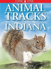 Animal Tracks Of Indiana