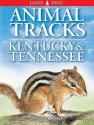 Animal Tracks Of Kentucky And Tennessee