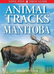 Animal Tracks Of Manitoba