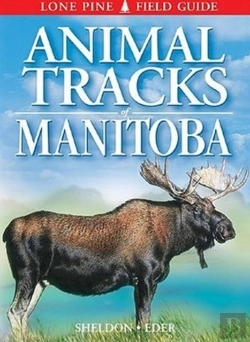 Bertrand.pt - Animal Tracks Of Manitoba