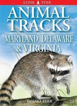 Bertrand.pt - Animal Tracks Of Maryland, Delaware And Virginia