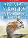 Animal Tracks Of Nevada And The Great Basin