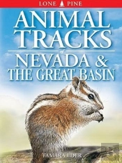Animal Tracks Of Nevada And The Great Basin