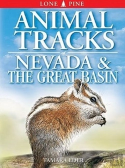 Bertrand.pt - Animal Tracks Of Nevada And The Great Basin